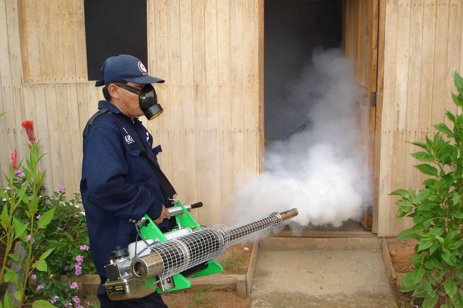 Fogging services in Qatar