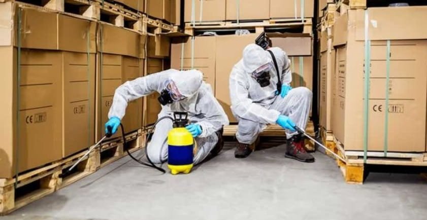 Expert Pest Control Specialists in Qatar