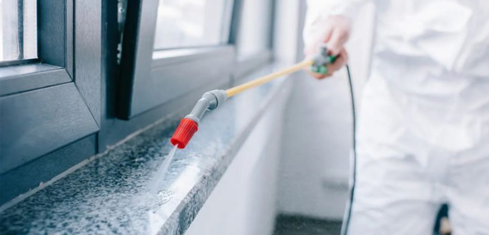 Pest control effective methods